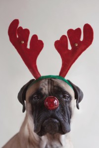 #ifsantahad10reindeer