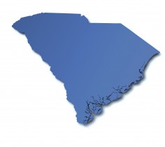 South Carolina Pet Insurance